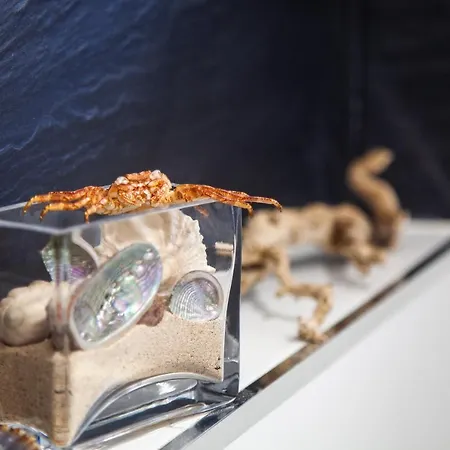 Amazing Luxury Apartment, La Casa Del Corazon * مورو ذيل خابلِ